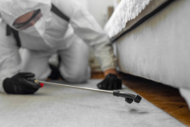 Professional Termite Control technician working in Valley County County, MT